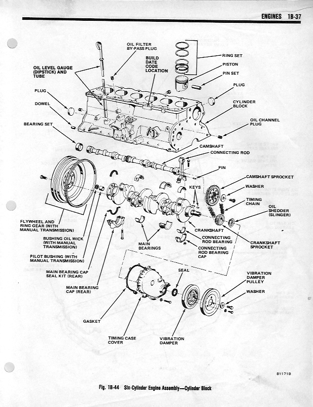 82tsm1B37.jpg