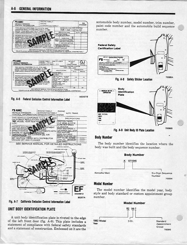 82tsmA06.jpg