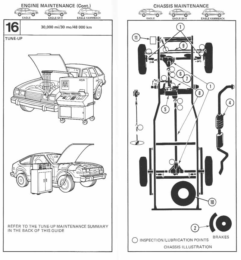 81mg09.jpg